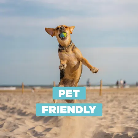 Marco Polo To Apartment *